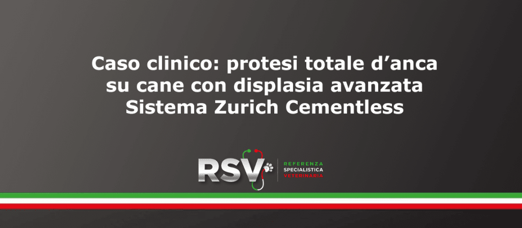 Caso clinico: protesi totale d’anca su cane con displasia avanzata - Sistema Zurich Cementless