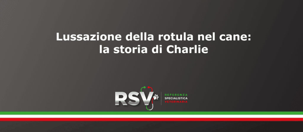 RSV Lussazione rotula cane caso clinico chirurgia protesica