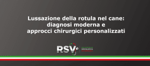 RSV Lussazione della rotula nel cane: diagnosi moderna e approcci chirurgici personalizzati
